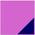 fuchsia--navy.jpg