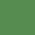 kiwi.jpg