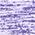 purple-electric.jpg